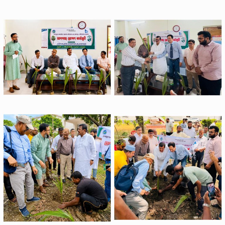 রাজশাহীতে এক হাজার তালগাছের চারা রোপণ কর্মসূচির উদ্বোধন
